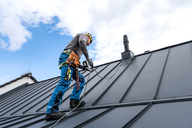 Roof Coating Services in Santa Paula, CA